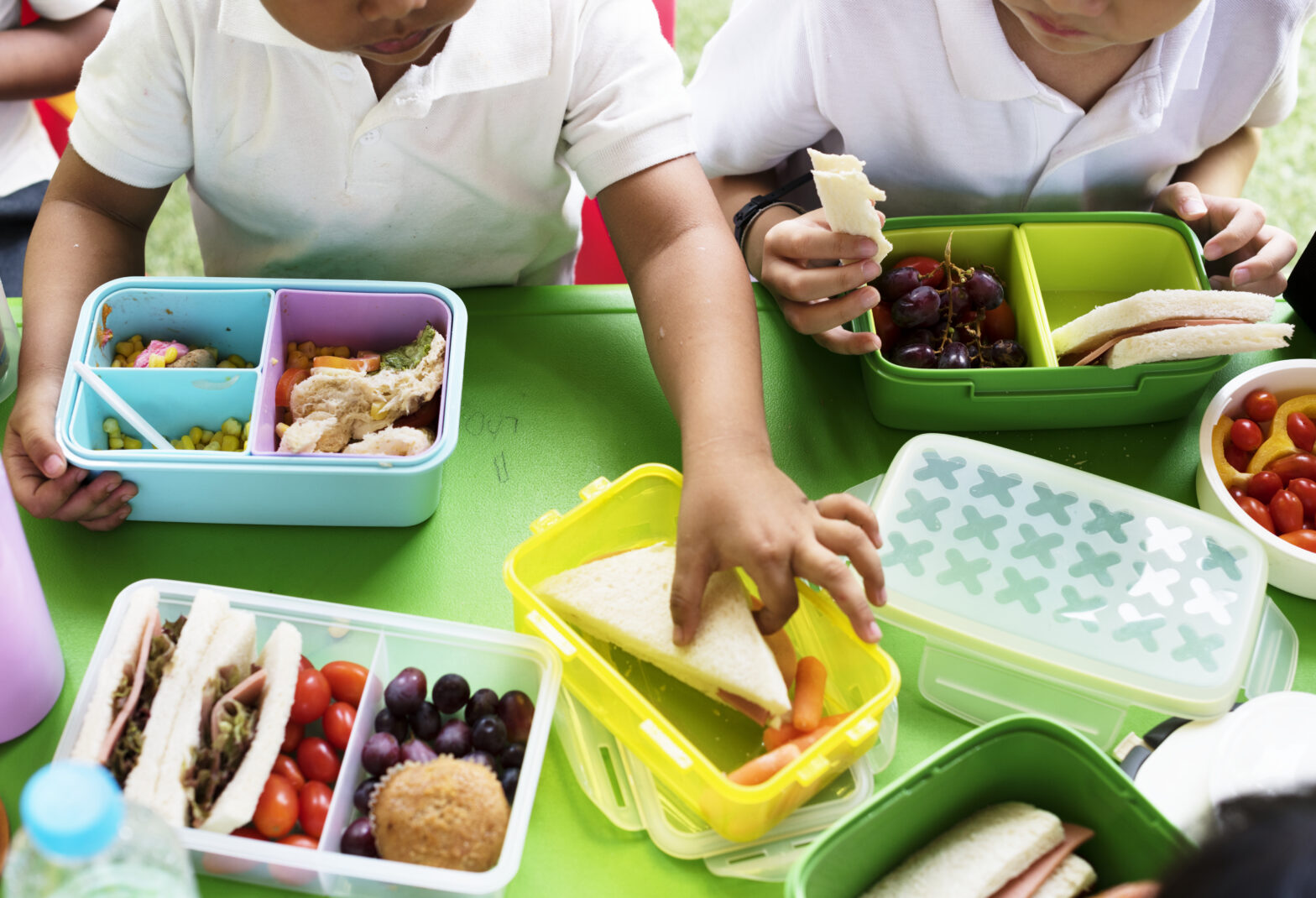 Estratégias para promover a alimentação saudável nas escolas